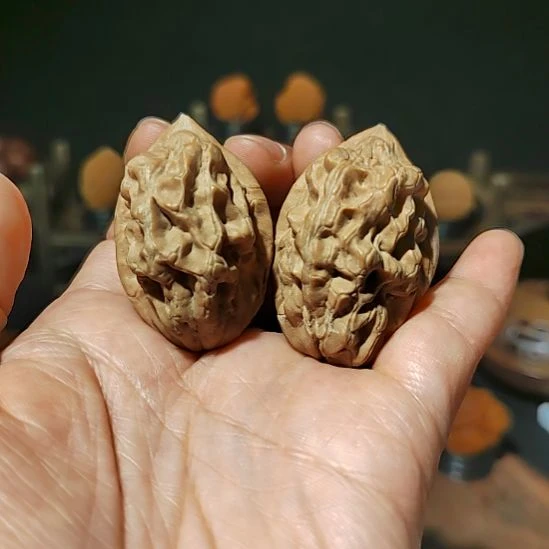 把件文玩核桃毒瘤蝎子王36尺