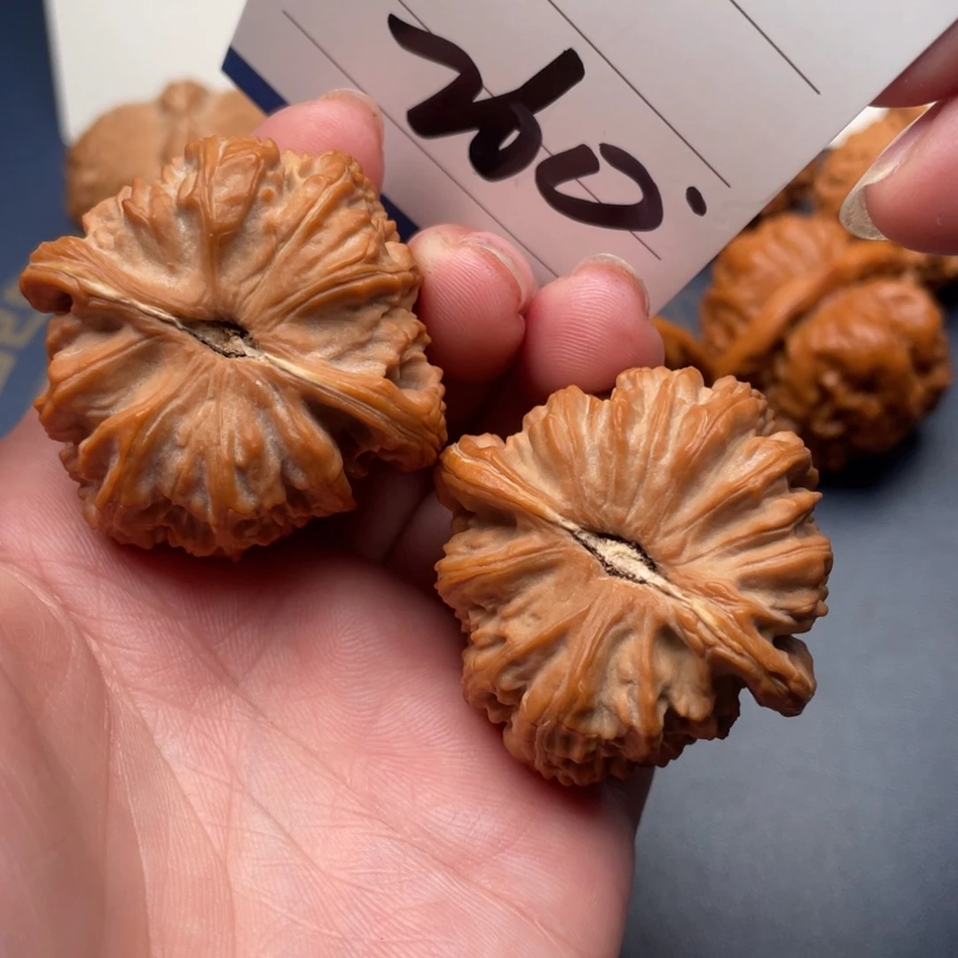 文玩核桃把件a***y白狮子40