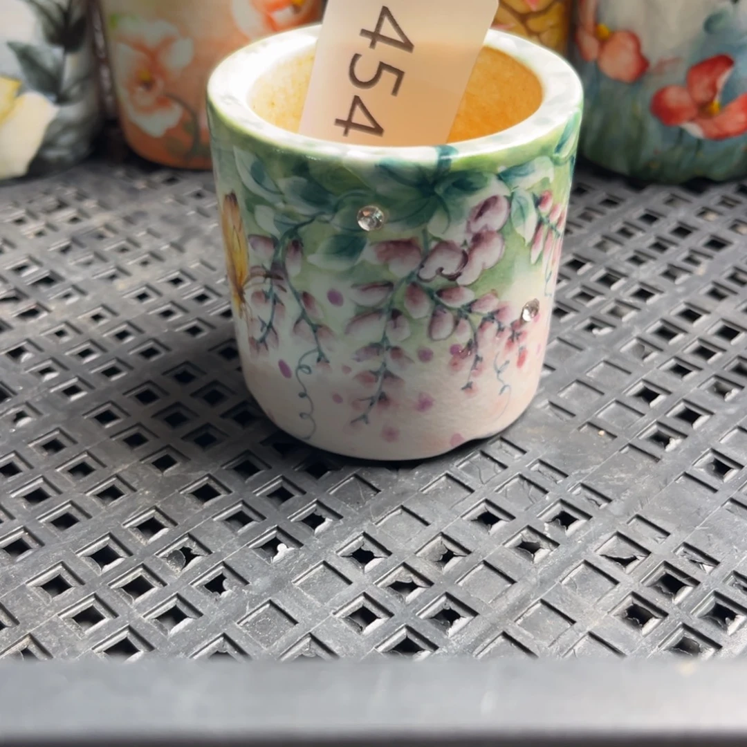 希***宝454多肉花盆   1个