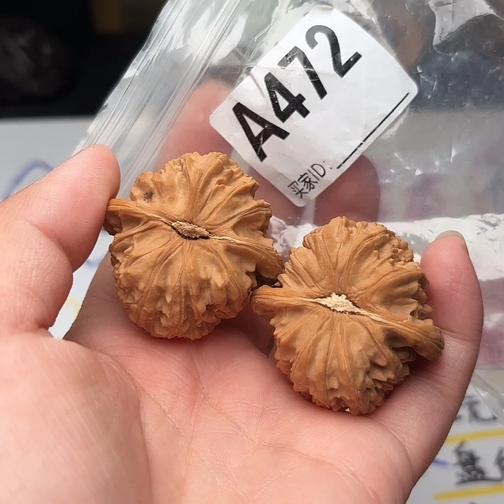 桃核把件核桃白狮子40