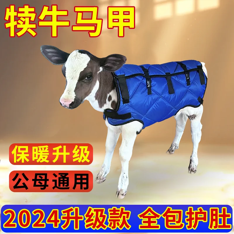 加厚防水犊牛马甲防寒马甲小牛保暖防水棉衣牛场犊牛牛犊保暖衣
