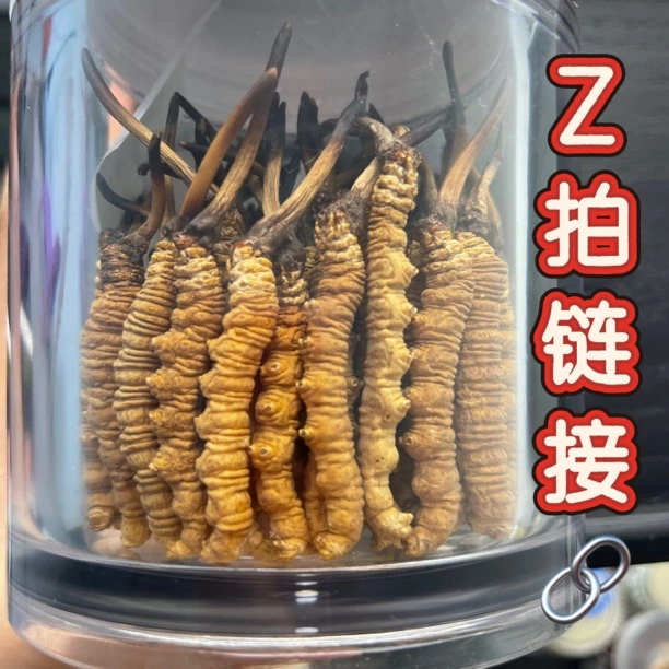 那曲冬虫夏草（Z拍链接）