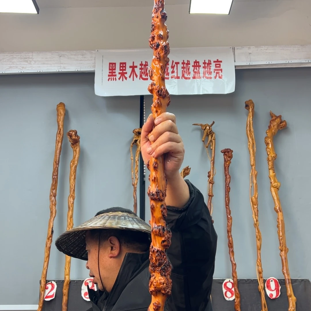 黑果木其他虎*黑果木483