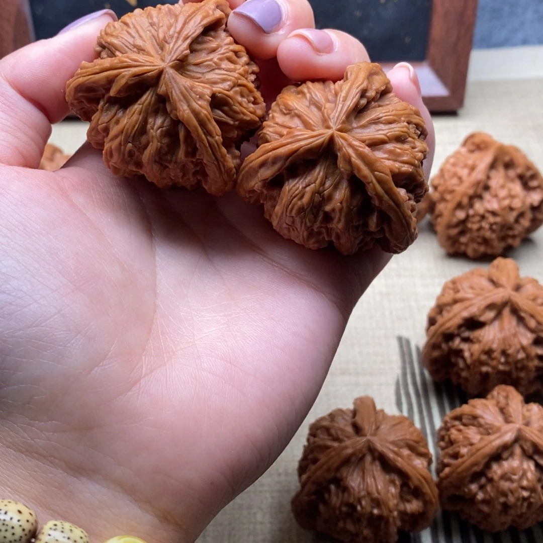 巧*力白狮子11111111