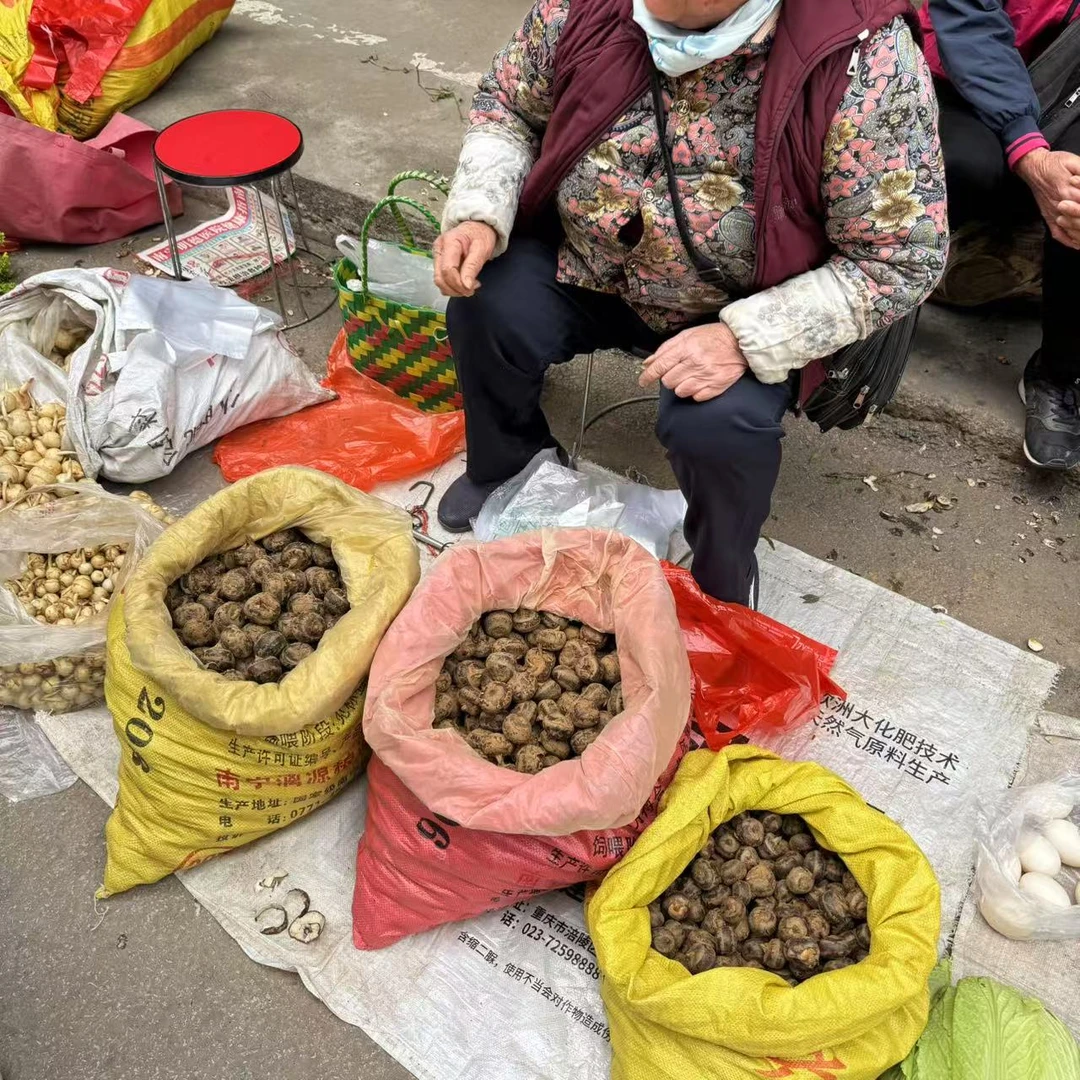 【箱装】马蹄清甜多汁爽脆3/4.5斤