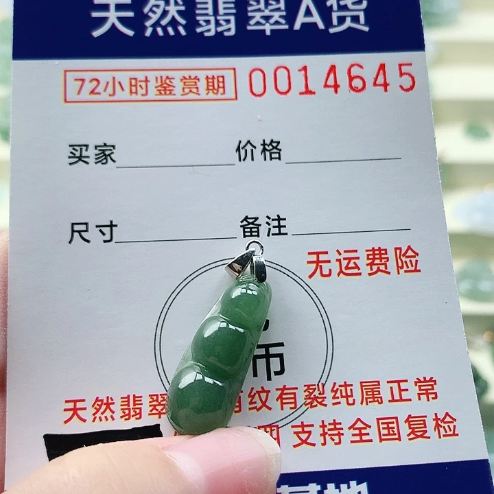 颈饰未镶嵌翡翠吊