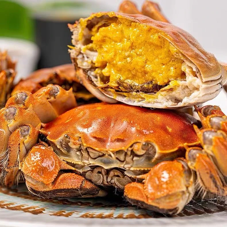 小妮家 鲜活螃蟹河蟹  全母蟹 1两-1.3两 20只装 顺丰冷链