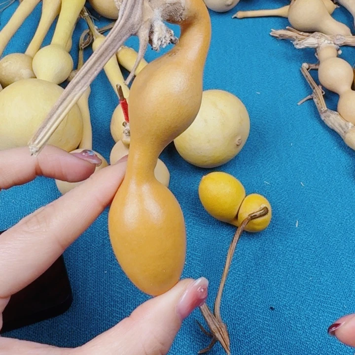 哎***～是生生世世去兔兔拍视频