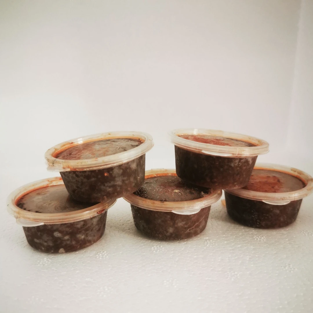 冰鲜大红水蚤适用于小型鱼