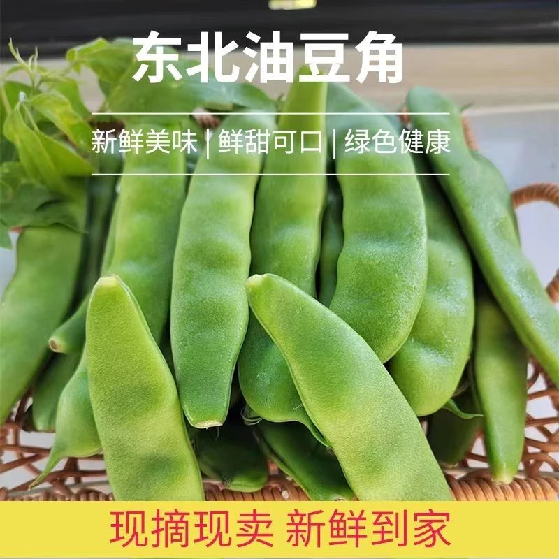 【现摘油豆角】东北新鲜蔬菜农家自种豆角开锅烂现摘现发正宗油豆角