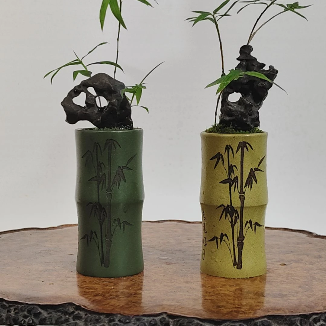 无花朵盆景，凤尾竹，太湖石