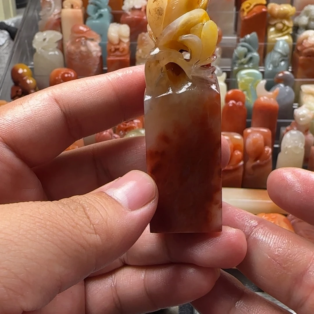 老挝石玉兰  2.2×7.5