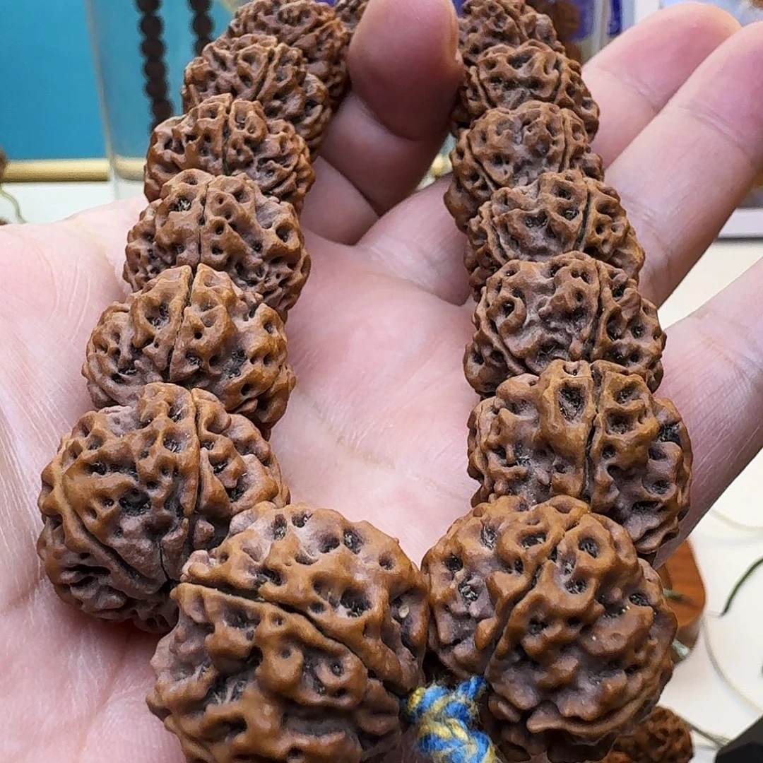 金刚菩提手串蜂窝双龙