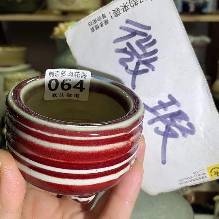 狼盆内口径6高度5