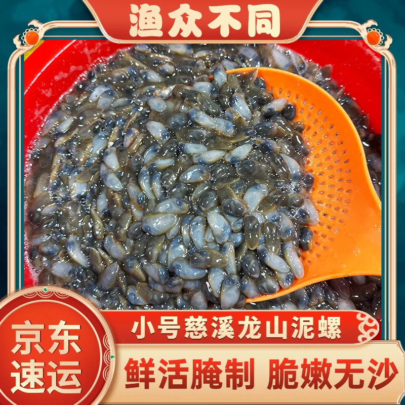 小号宁波本地慈溪龙山桃花黄泥螺散装泥螺原料咸的需要加工