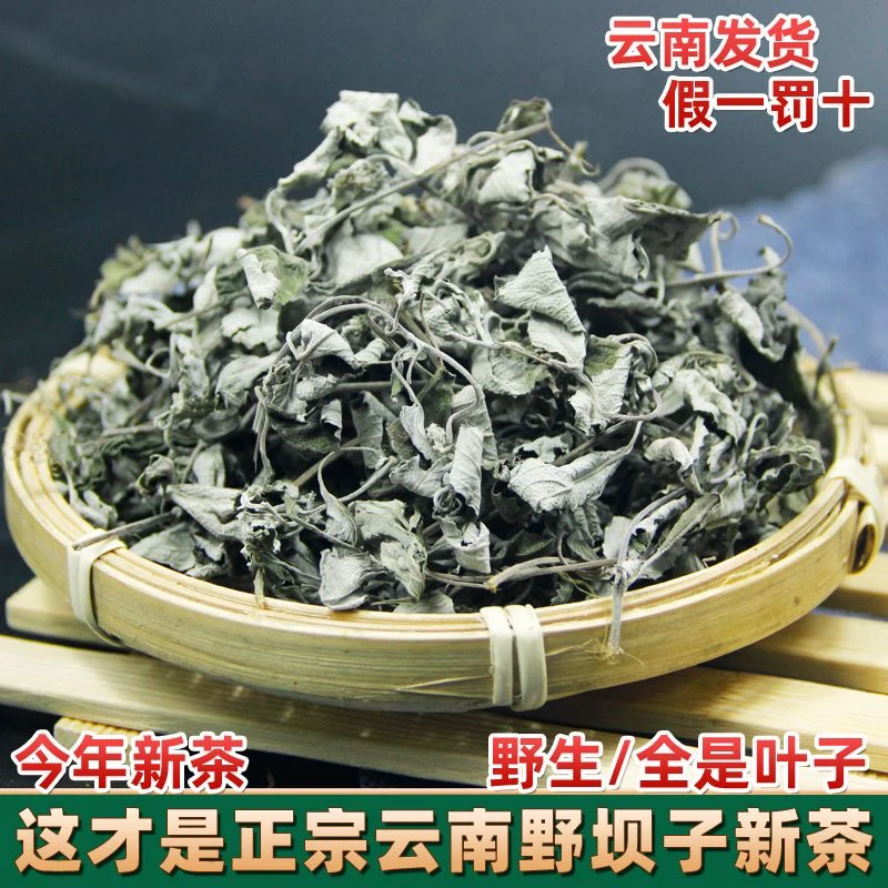 云南野生野坝蒿 野坝子