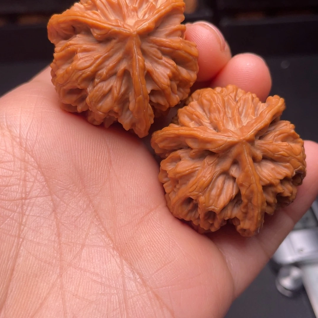 秦岭山脉文玩核桃