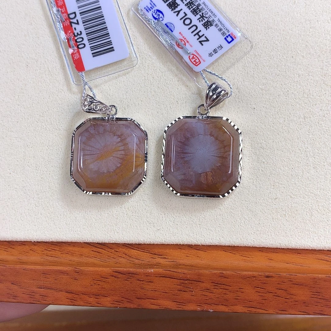 吊坠(赠链)未镶嵌硅化珊瑚（珊瑚玉）10号吊坠
