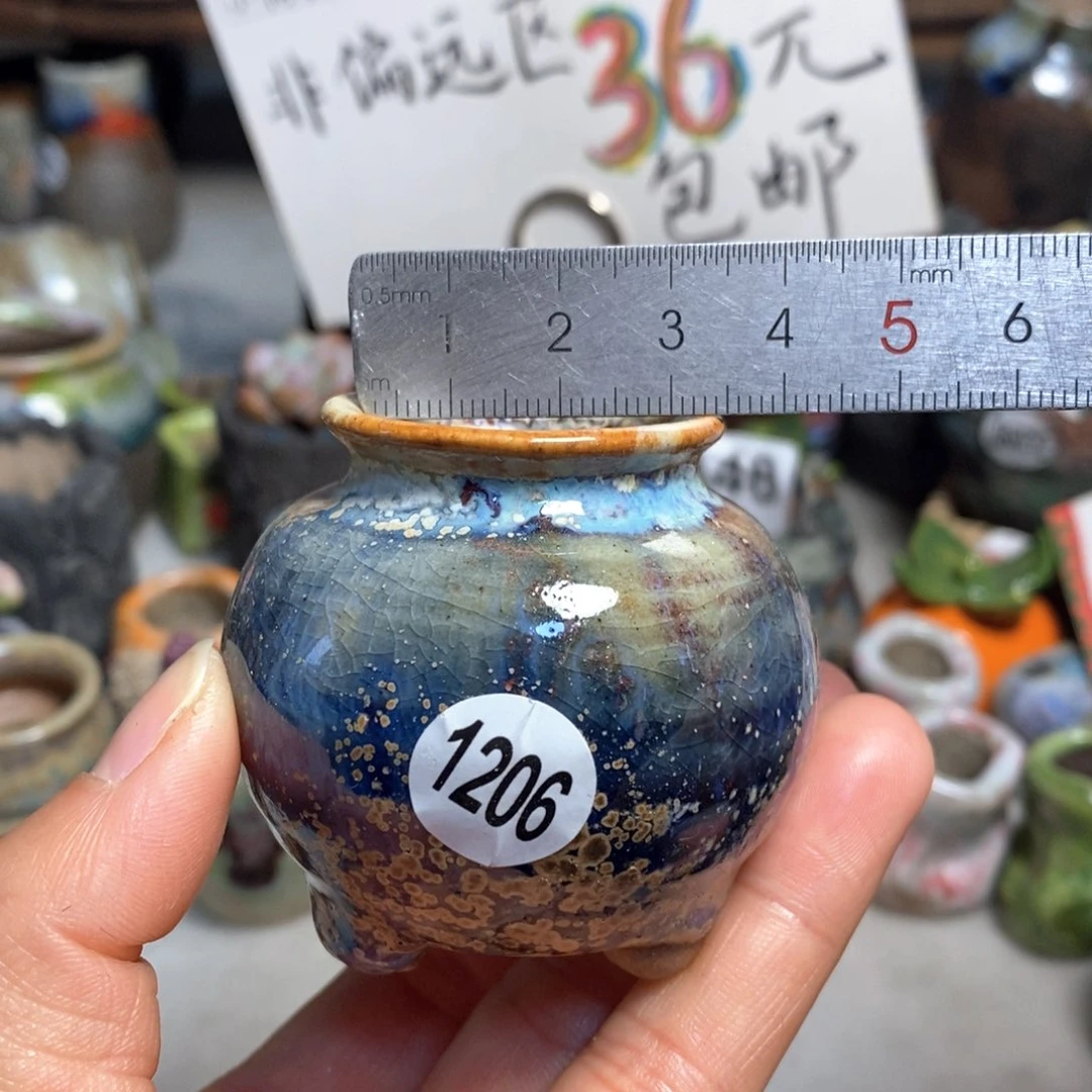 拍5送一个小礼物花盆