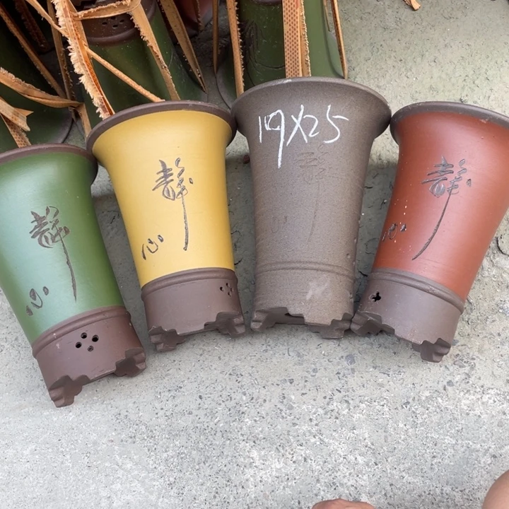 周深周深周深周深