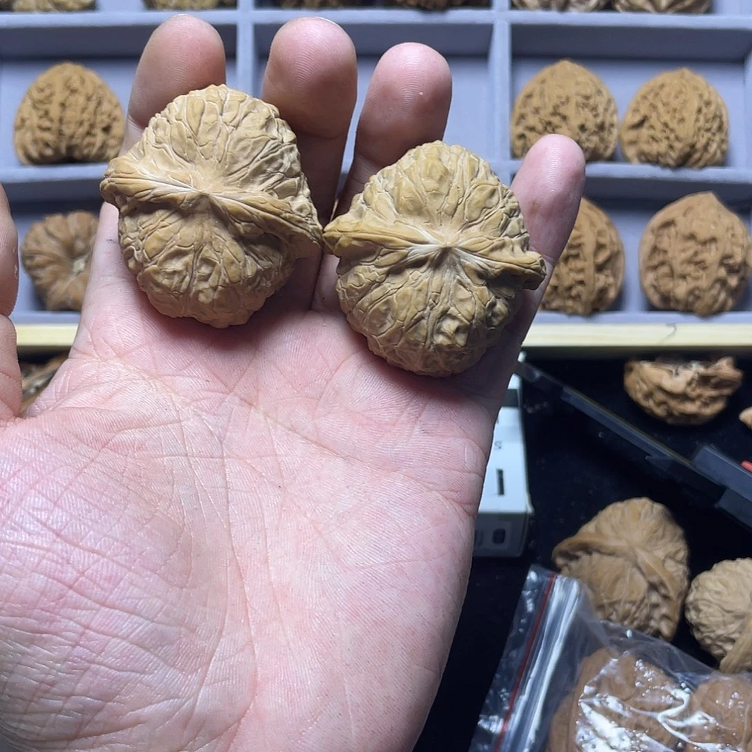 核桃南瓜墩44尺全品