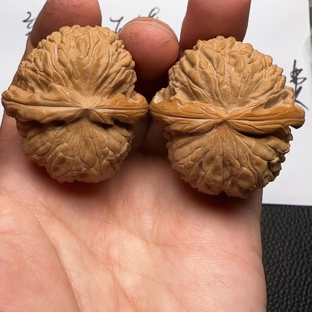 文玩核桃把件62白狮子40尺精修