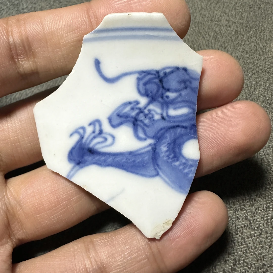 康青花龙头瓷片标本