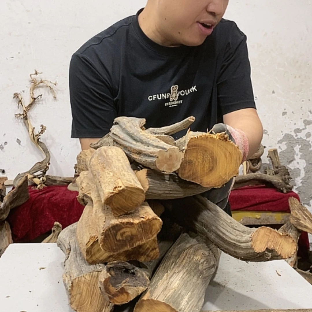 【闪购商品】柏木奇*我们都是好孩子
