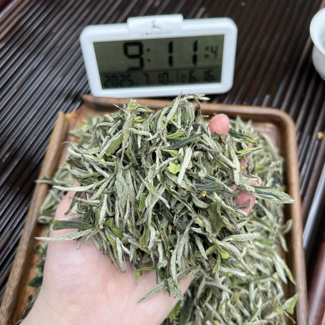 2025牡丹王 ① 小鹿收茶 福鼎白茶 7月10