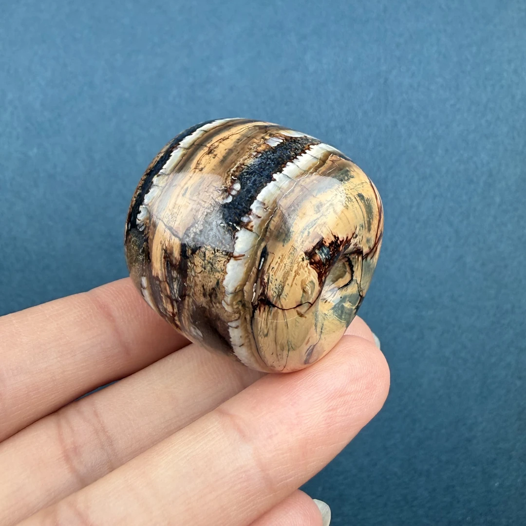 X15-19天然猛犸臼齿墩子桶珠32×29mm 保真天然牙骨角