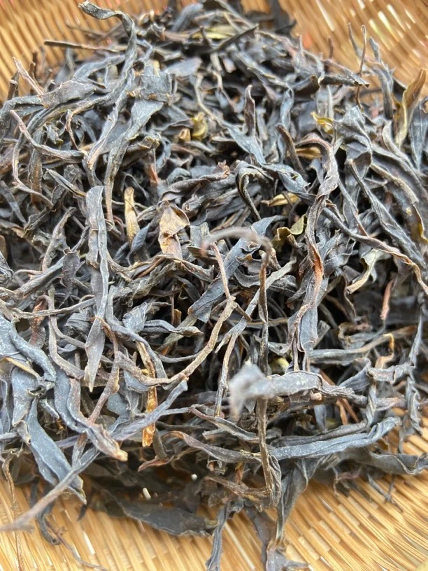 云南腾冲～2025年紫美人生茶散茶