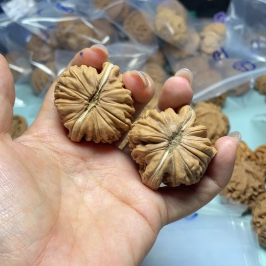 ㊤***㊎吊坠文玩核桃龙龙14