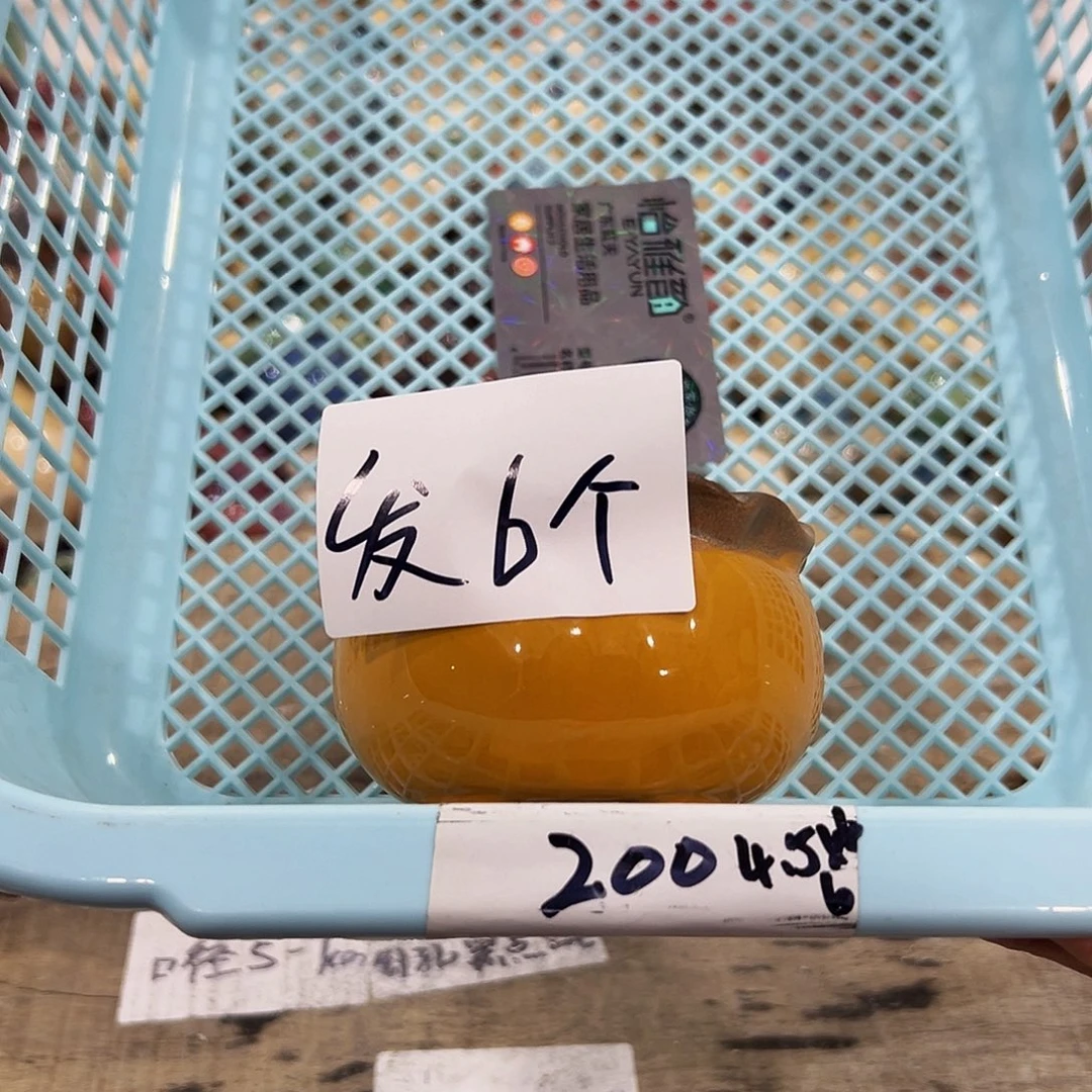 红陶高温陶瓷材料200
