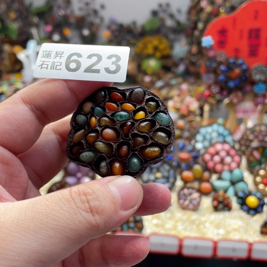 核桃木/黑胡桃（胡桃木）柚*茶623