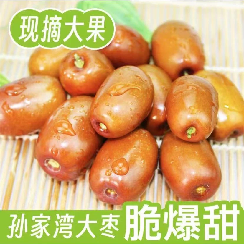 孙家湾大枣  鲜枣