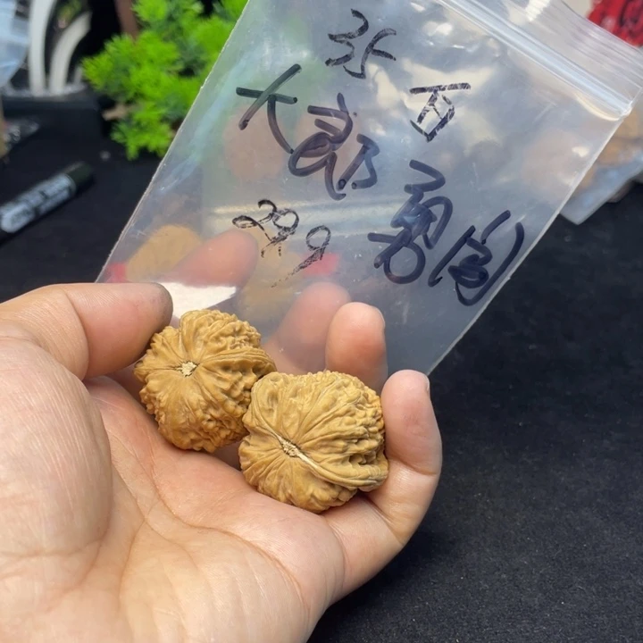 文玩核桃把件大****国白狮子