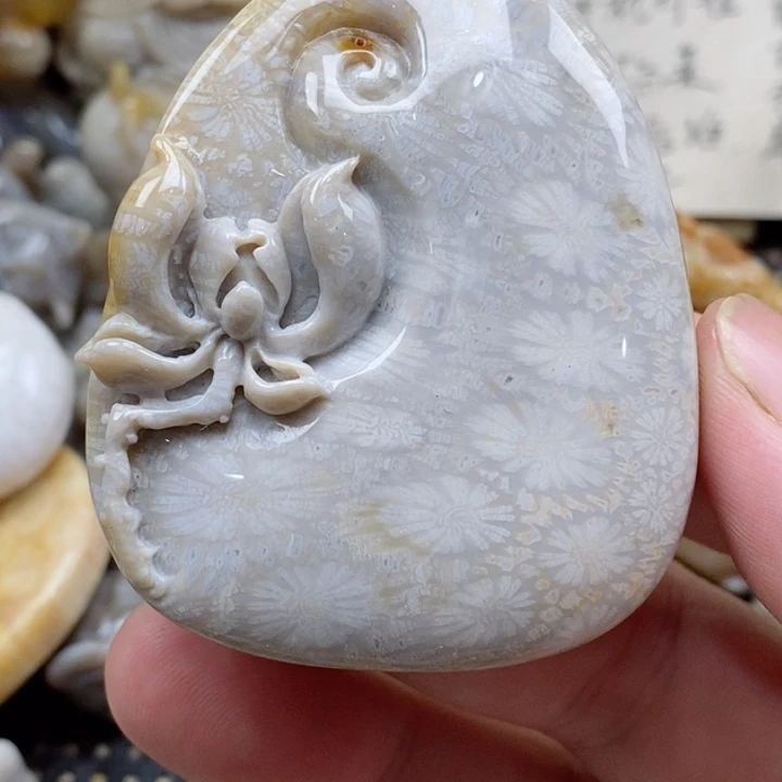 颈饰未镶嵌硅化珊瑚（珊瑚玉）