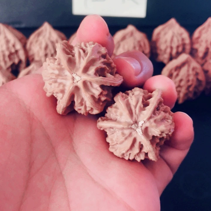 哦***耶把件文玩核桃盘山三棱正奔3.6尺寸3.8高全品白茬