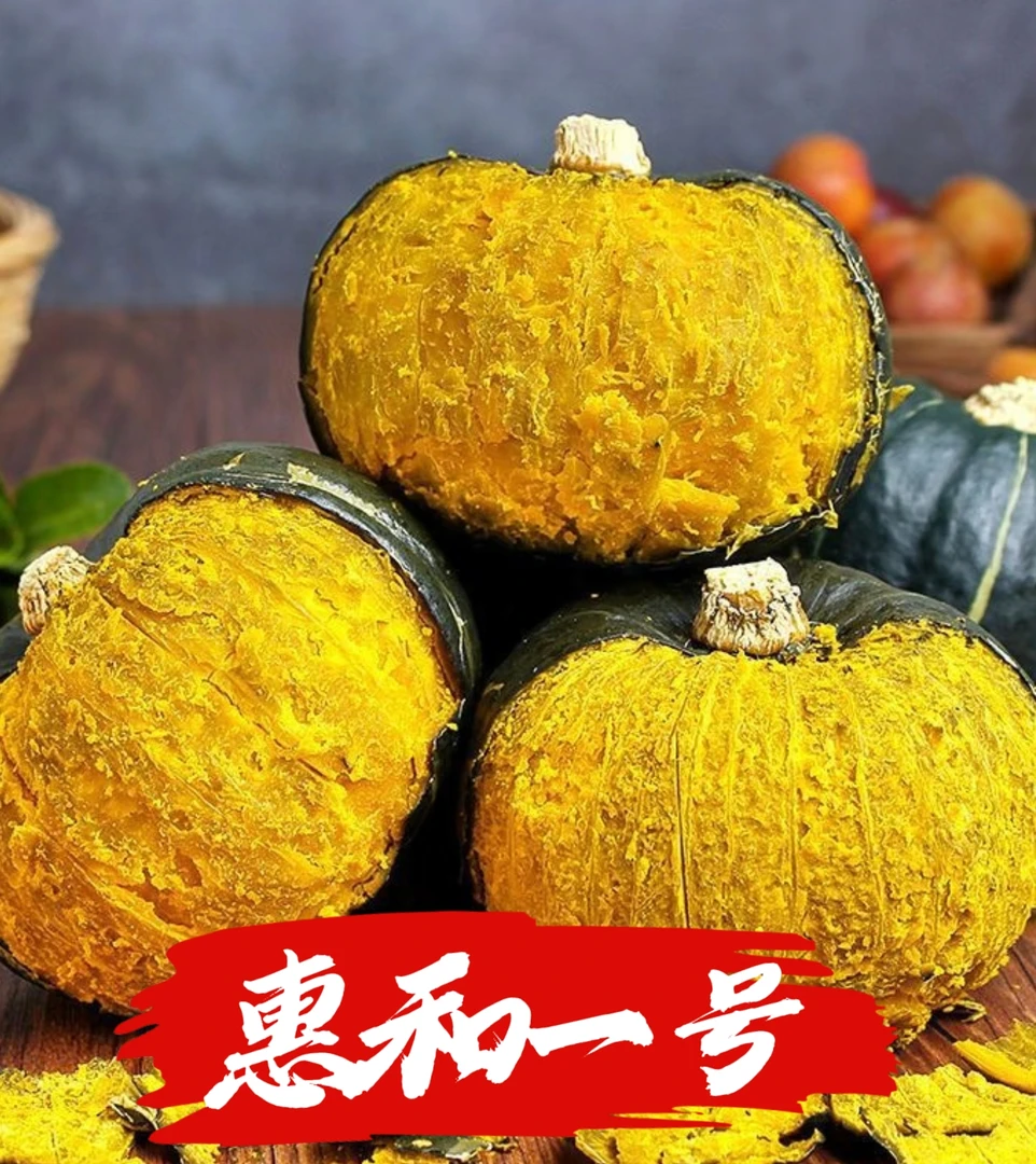 【惠和一号贝贝南瓜】包粉包糯板栗味宝宝孕妈妈辅食吊瓜