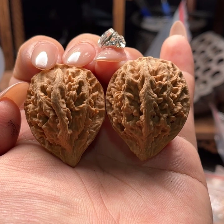 文玩核桃把件楸大胖52