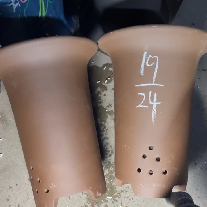 周三周四在做啥子