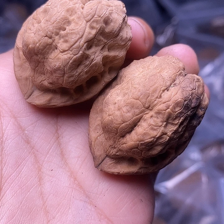 文玩核桃把件   256