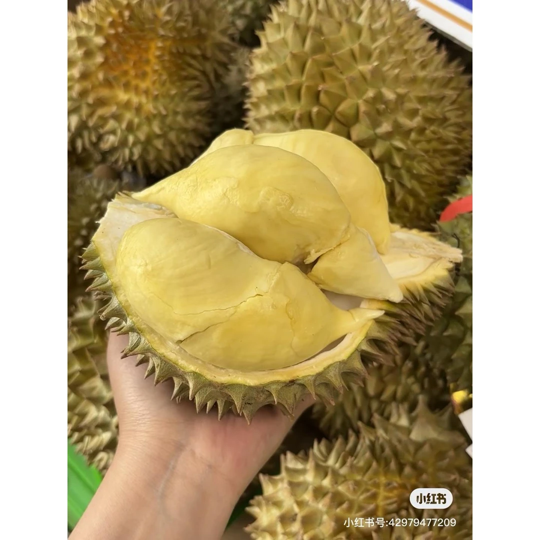 【一果一拍】巴掌榴莲泰国金枕树上熟带壳核小鲜果新鲜水果整果69元一个3斤左右榴莲同城送金枕泰国