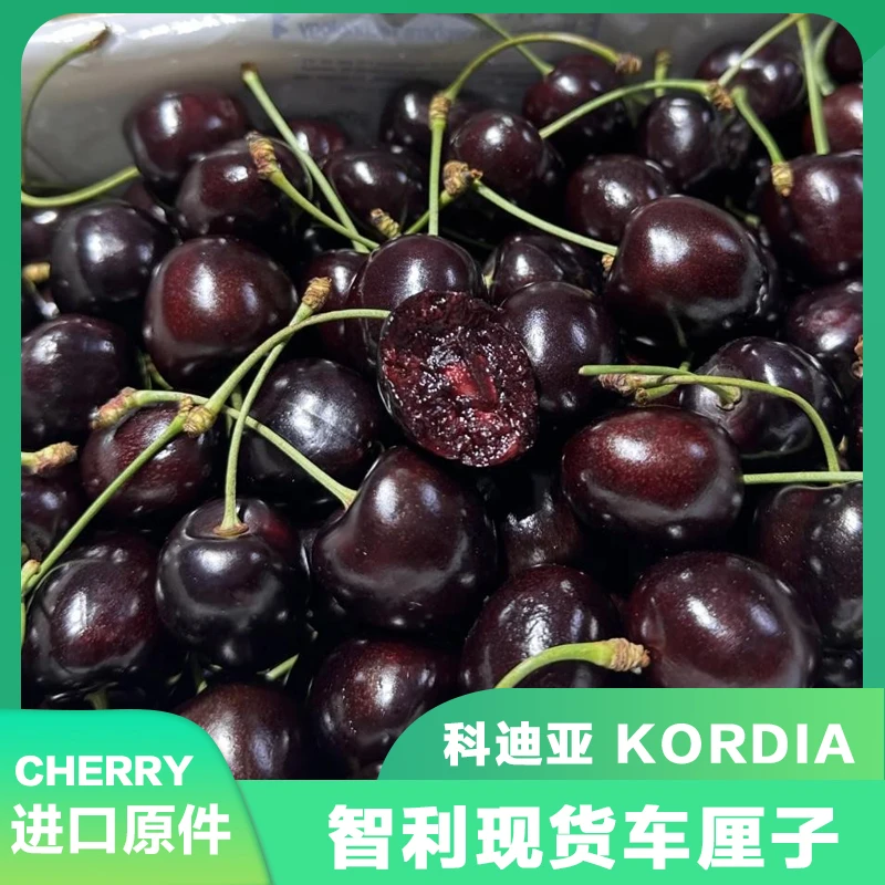 只发川渝~科迪亚2JD/3JD智利海运车厘子5斤原件 内附果径卡