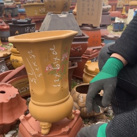 紫砂花盆紫砂花盆盆景盆栽