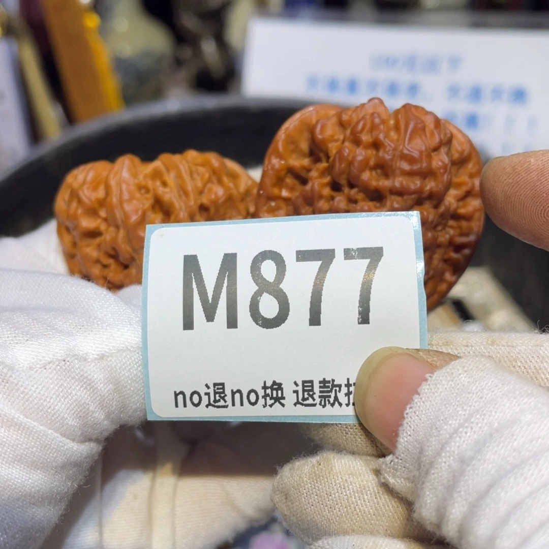 自***歌陶瓷闲云直播火爆热卖