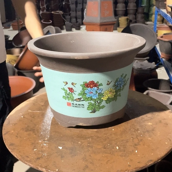 绿色金钟花开富贵大号