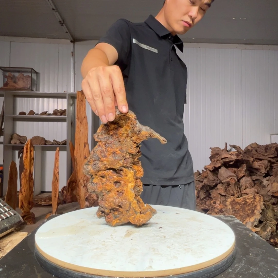 陈***6木猛子琥珀木摆件43