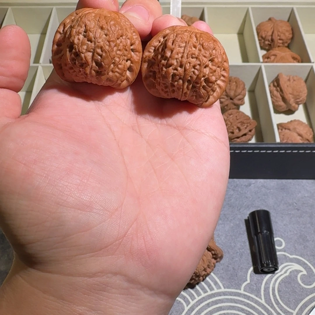 大叶紫檀（黑酸枝木类）