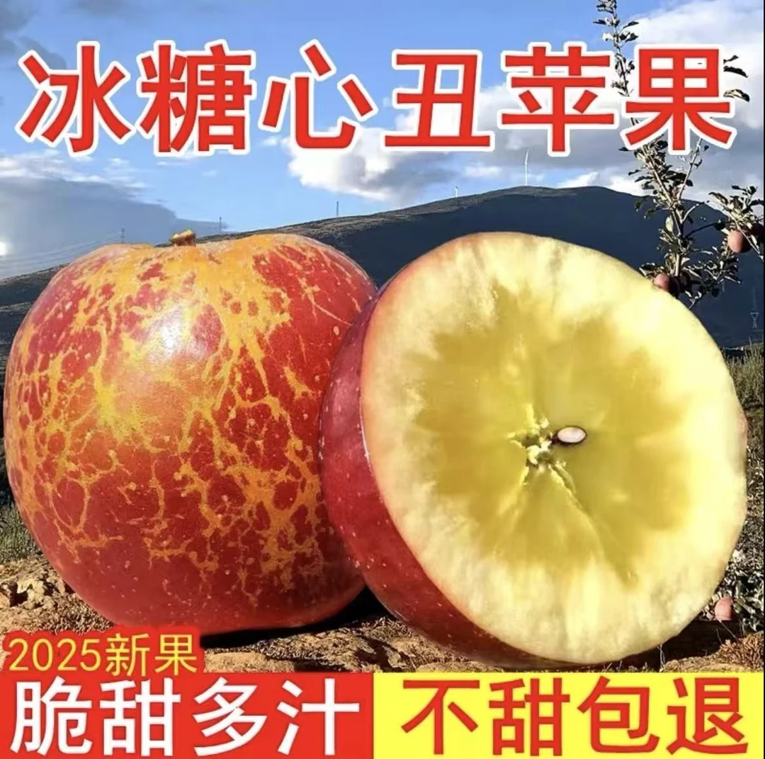 【冰糖心】大凉山冰糖心苹果丑苹果新鲜采摘应季水果产地直发